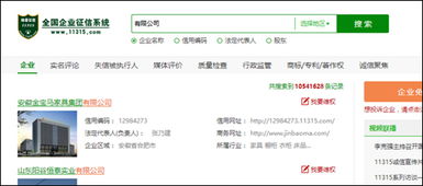 提升企业信用分值 绿盾全国企业征信系统与企业征信业务的关键作用